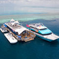 Fantasea Reefworld