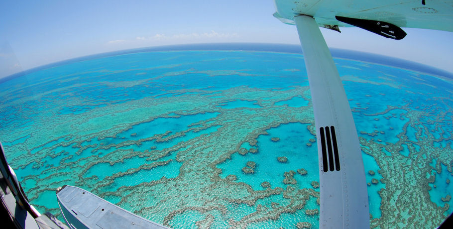 View of the Outer Great Barrier Reef from the Seaplane