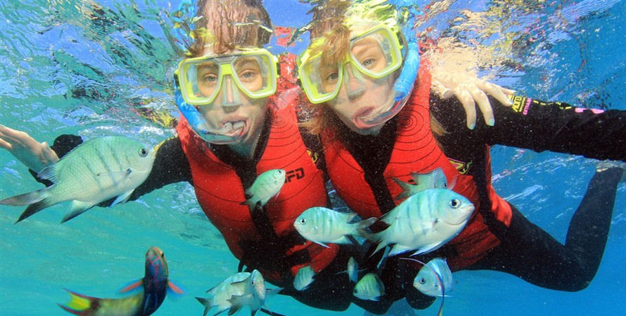 Snorkelling Couple