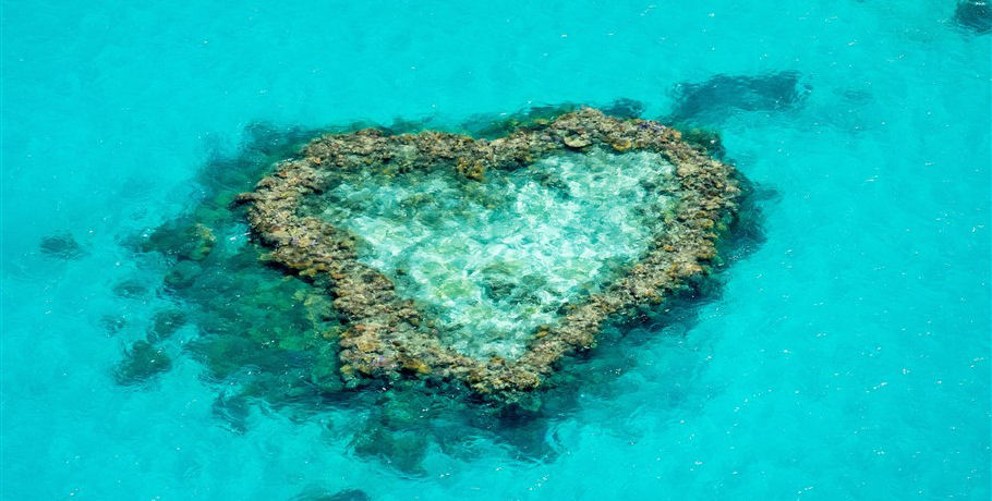 Heart Reef Image