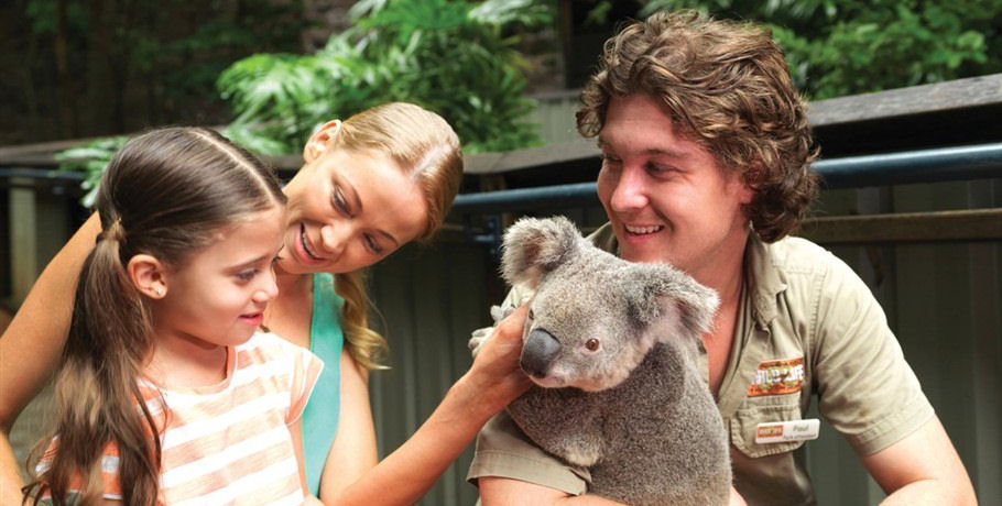 Cuddle a Koala Whitsundays Day Trip
