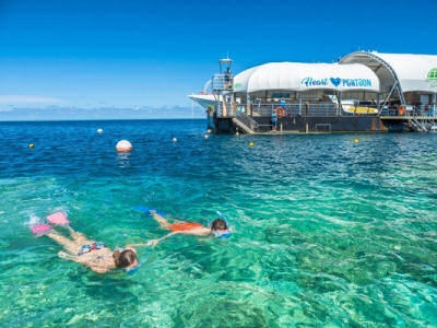 reef trips from airlie beach
