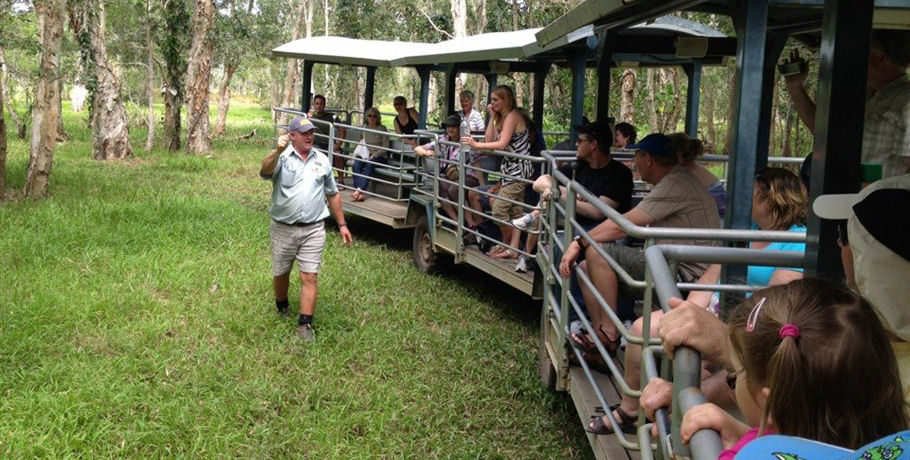 whitsunday crocodile safari review