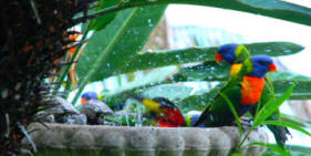 Airlie Beach Bed & Breakfast Accommodation